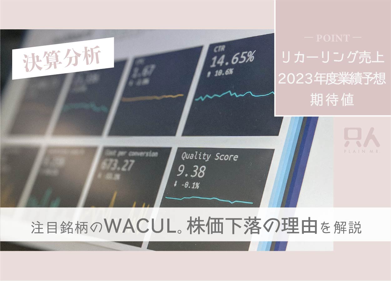 【大幅下落】WACUL（ワカル）の決算分析！株価下落の理由を解説